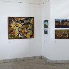28.8.2020 v Galerii ve Věži ve Vysokém Mýtě (5)